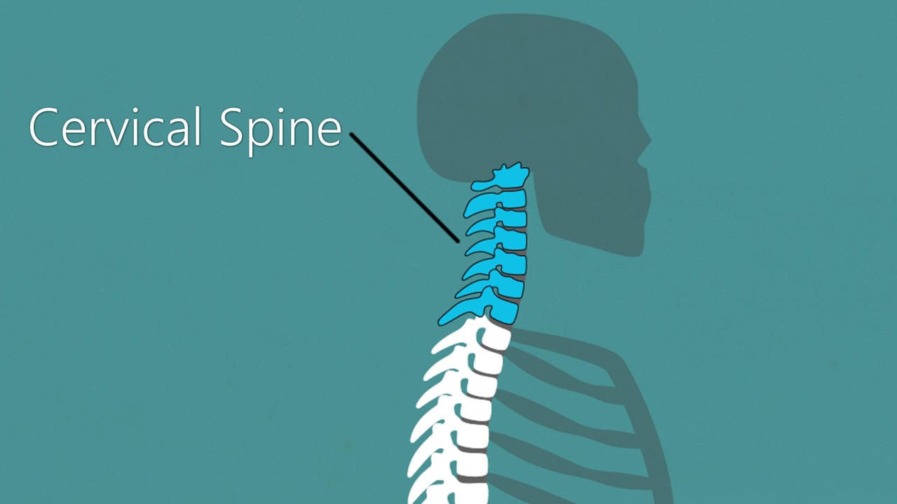 Cervical spine illustration